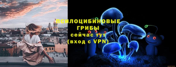 mdma Богородицк