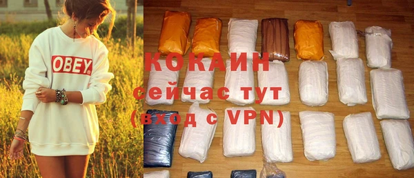 шишки Семёнов