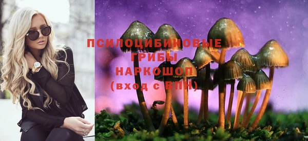 mdma Богородицк