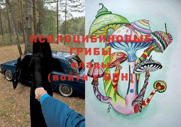 спиды Богданович