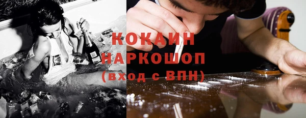 спиды Богданович