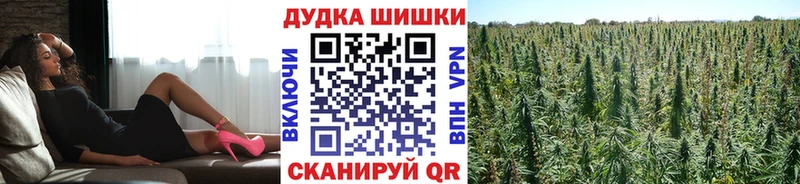 Купить где Бикин Канабис планчик